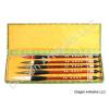 Set of Five Chinese Art Brush Set